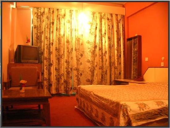 Hotel Dronagiri 